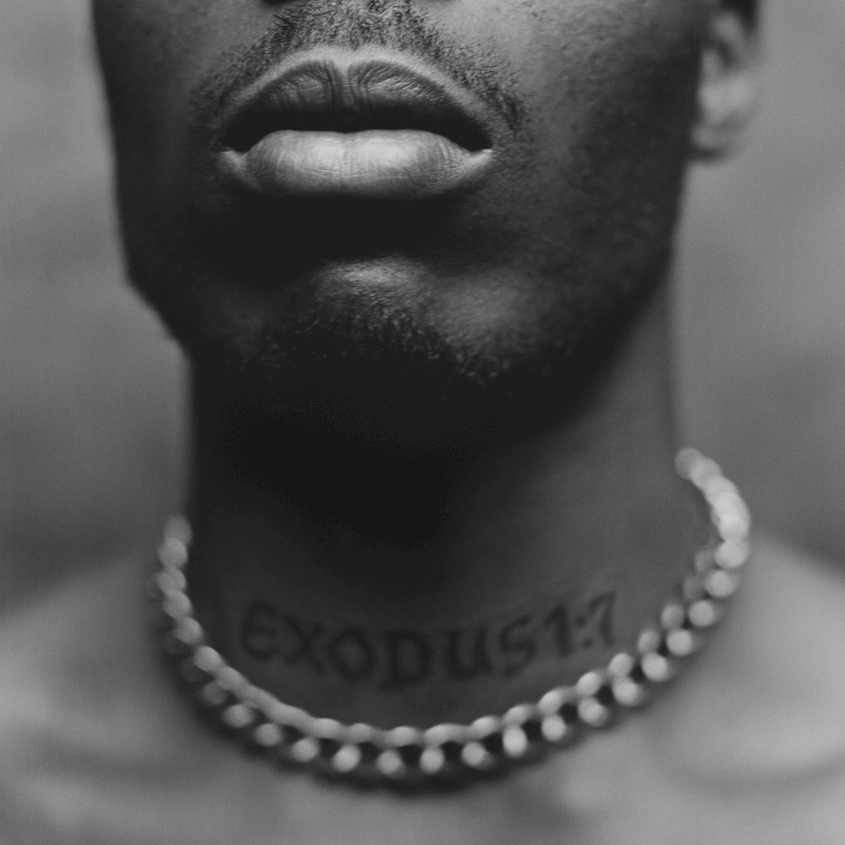DMX - Exodus (Def Jam Recordings, B0033964-01) • LP • M/M