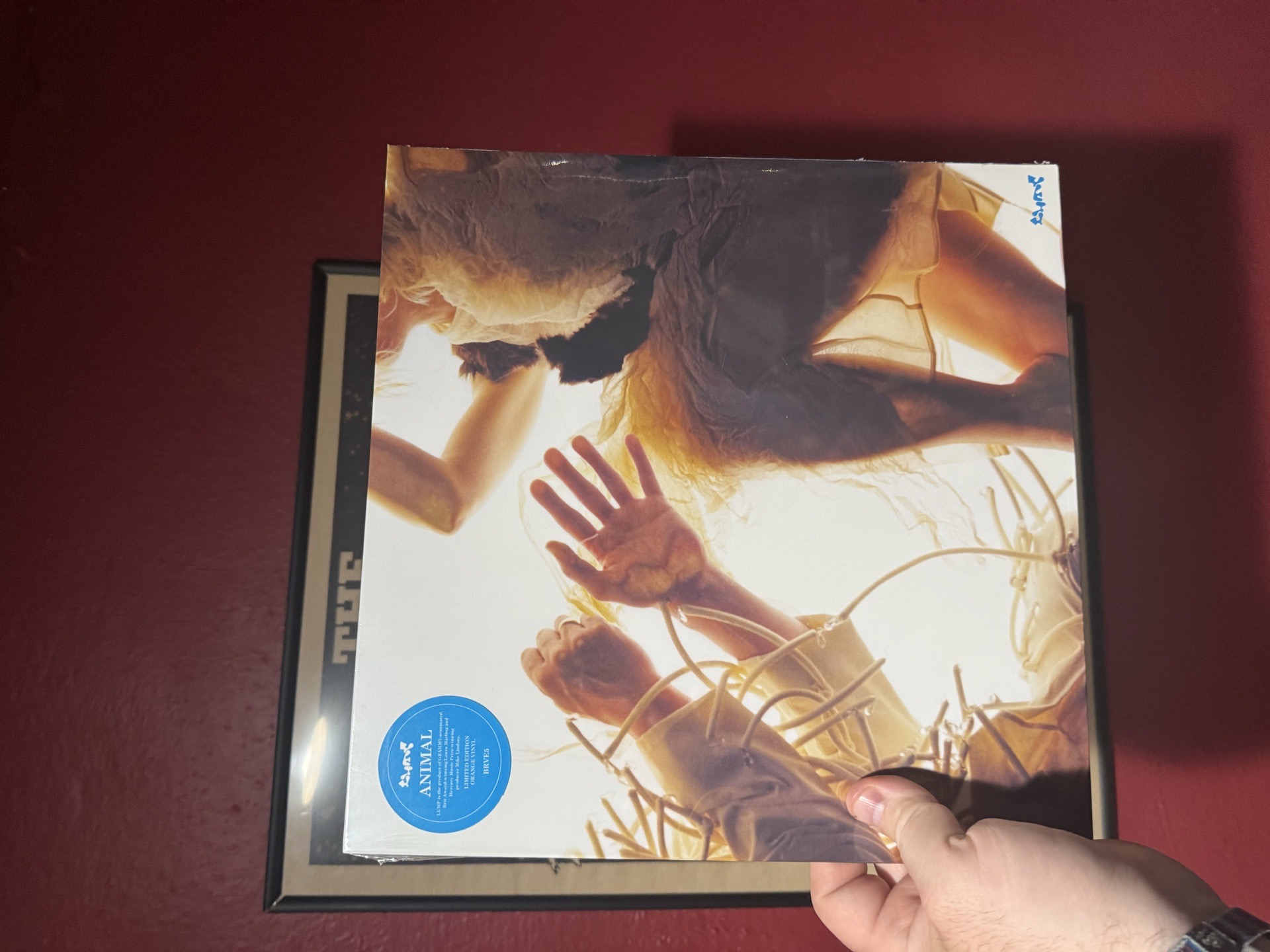 LUMP - Animal Orange vinyl