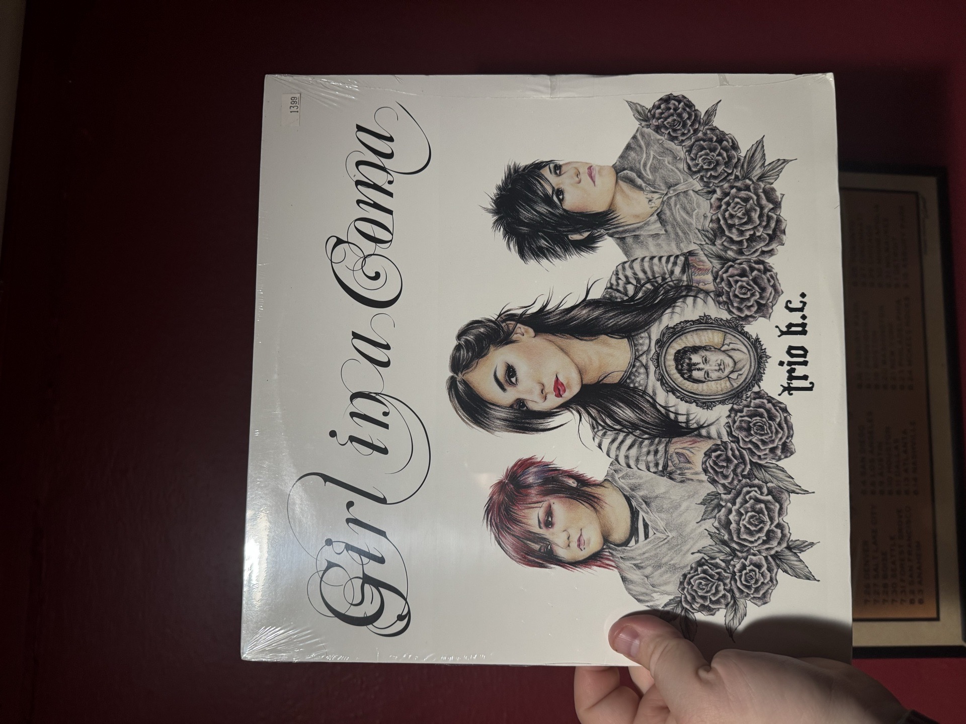 Girl In A Coma - Trio B.C.