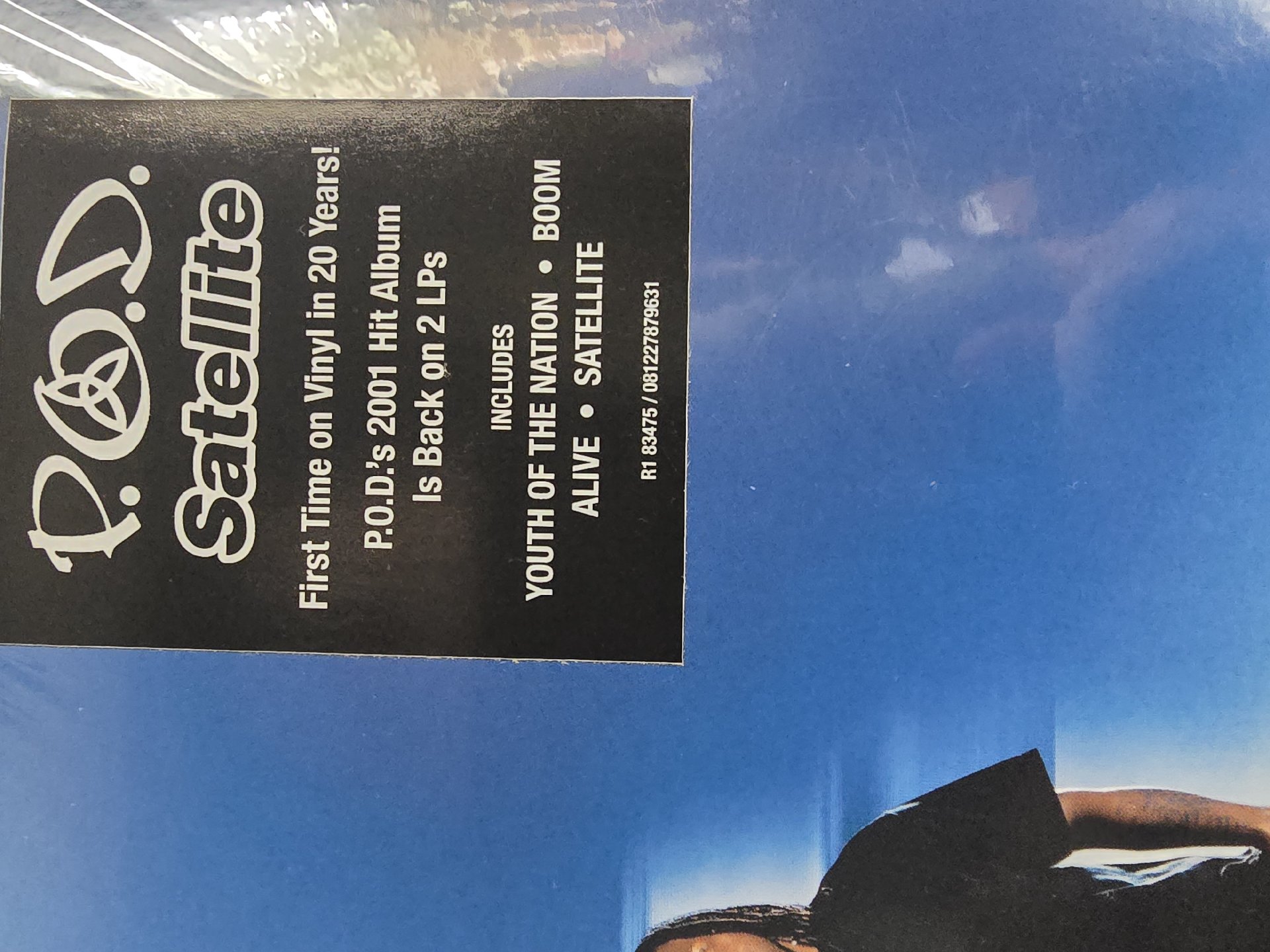 Image 2 of POD Satallite Vinyl LP