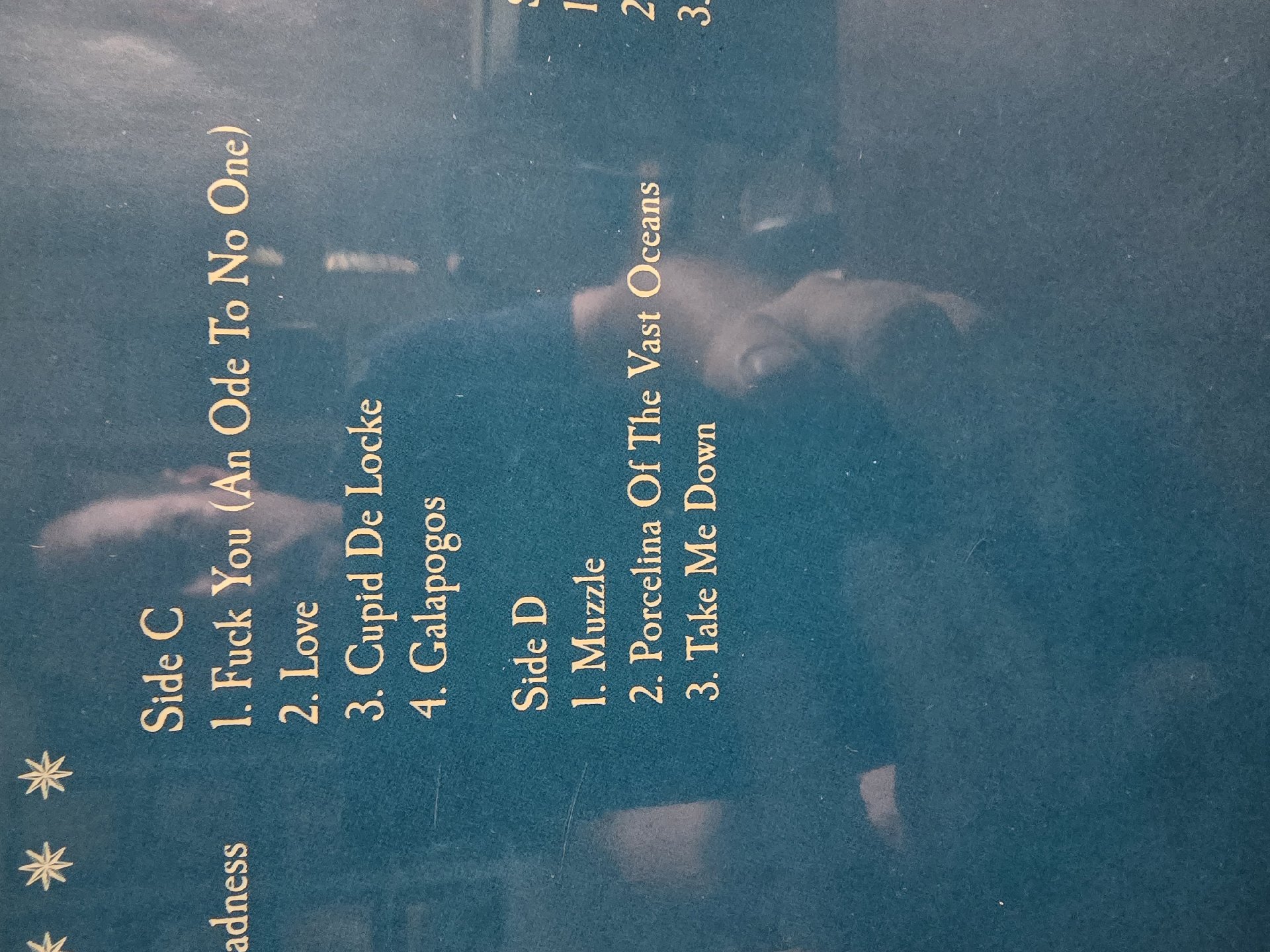 Image 4 of Smashing Pumpkins Mellon Collie And Infinitive Sadness Vinyl Boxset