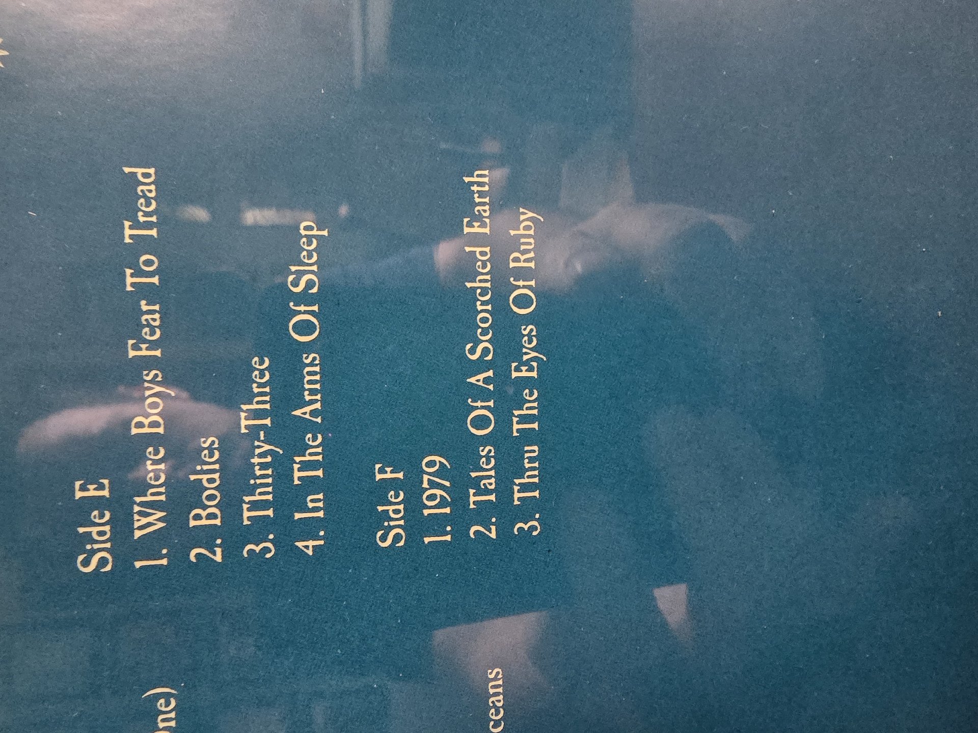 Image 5 of Smashing Pumpkins Mellon Collie And Infinitive Sadness Vinyl Boxset