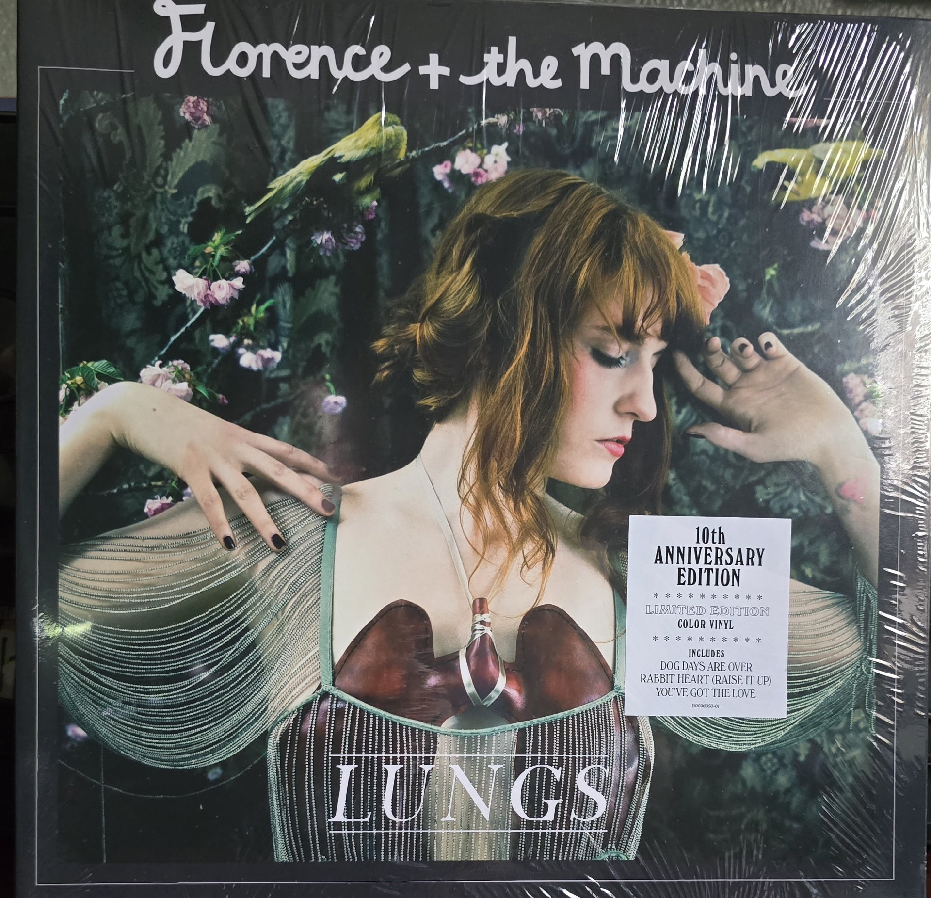 Florence And The Machine Lungs Vinyl LP