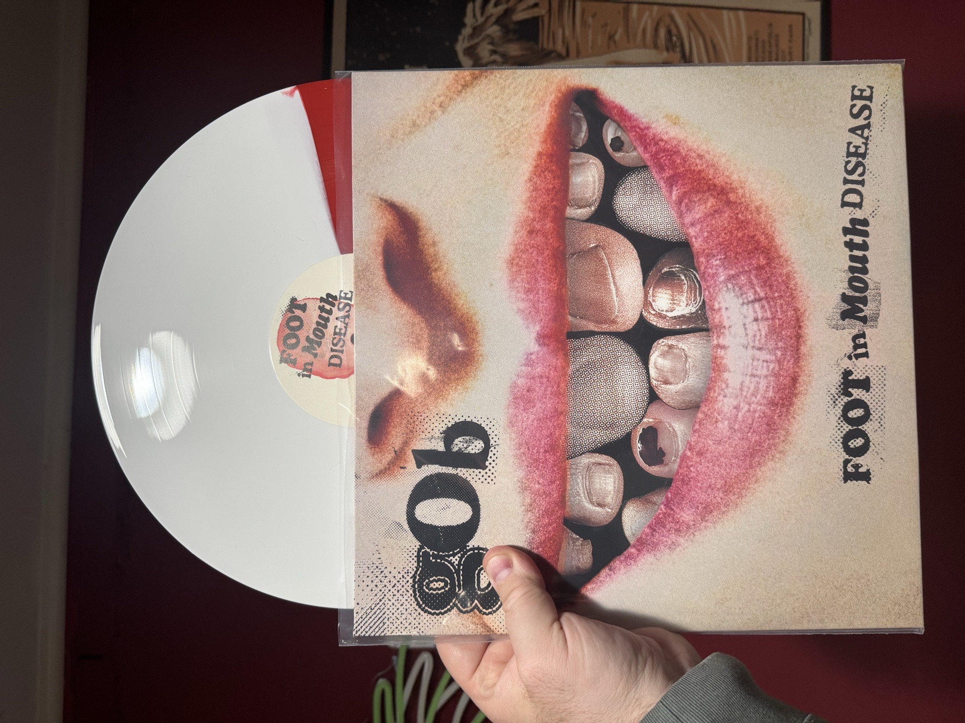 Gob - Foot In Mouth Disease