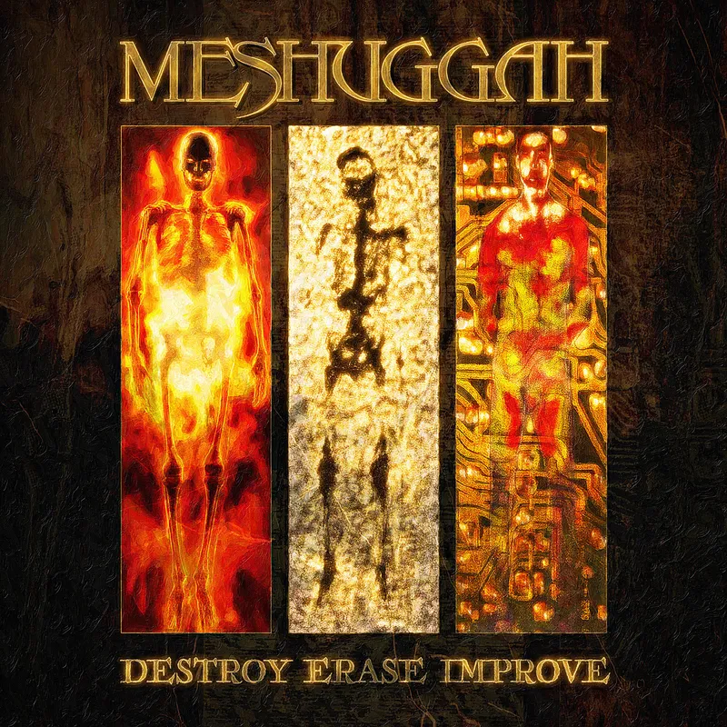 Destroy Erase Improve